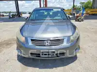 2009 Honda Accord фото