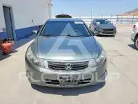 2009 Honda Accord photo
