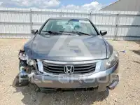 2009 Honda Accord photo