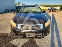 2009 Honda Accord фото