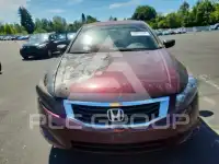 2009 Honda Accord фото