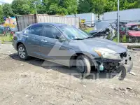 2009 Honda Accord photo