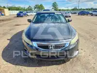 2009 Honda Accord фото