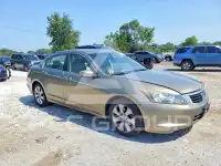2009 Honda Accord фото