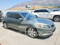 2009 Honda Accord photo