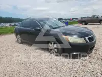 2009 Honda Accord фото