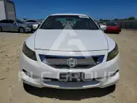2009 Honda Accord фото