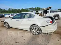 2009 Honda Accord photo