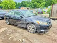 2009 Honda Accord фото