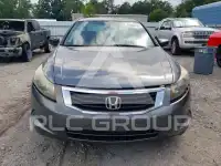 2009 Honda Accord фото