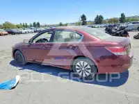 2009 Honda Accord фото