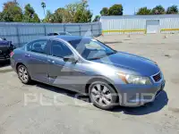 2009 Honda Accord фото