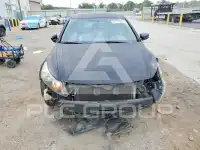 2009 Honda Accord photo