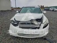 2009 Honda Accord фото