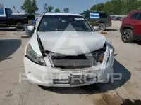 2009 Honda Accord фото