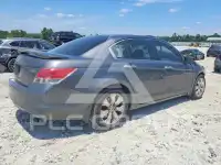 2009 Honda Accord фото