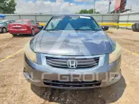 2009 Honda Accord фото
