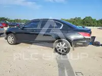 2009 Honda Accord photo