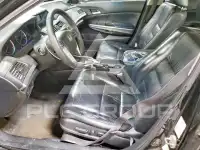 2009 Honda Accord фото