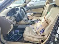 2009 Honda Accord фото