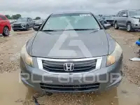 2009 Honda Accord фото
