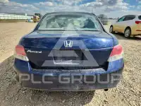 2009 Honda Accord фото