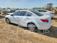 2009 Honda Accord фото