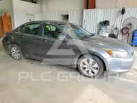2009 Honda Accord фото