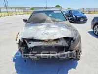 2009 Honda Accord photo