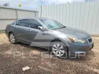 2009 Honda Accord фото
