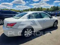2009 Honda Accord фото