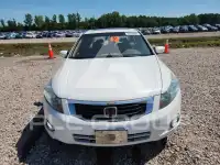 2009 Honda Accord фото