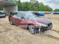 2009 Honda Accord фото