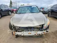 2009 Honda Accord фото