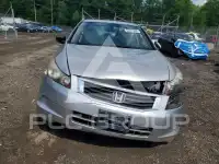 2009 Honda Accord photo