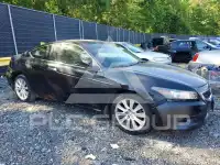 2009 Honda Accord фото