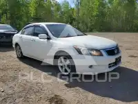 2009 Honda Accord фото