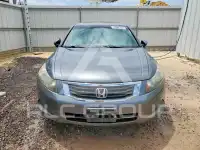 2009 Honda Accord фото