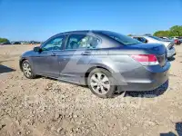 2009 Honda Accord фото