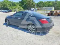 2009 Honda Accord photo