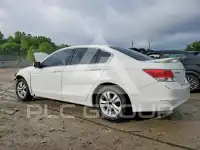 2009 Honda Accord фото
