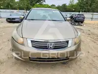 2009 Honda Accord photo