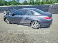2009 Honda Accord фото