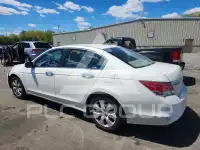 2009 Honda Accord фото