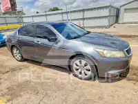 2009 Honda Accord фото