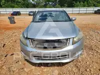 2009 Honda Accord фото