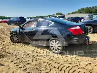 2009 Honda Accord photo