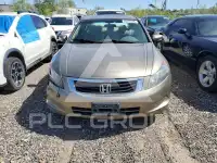 2009 Honda Accord фото