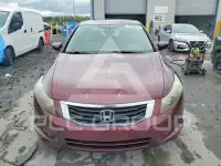 2009 Honda Accord фото
