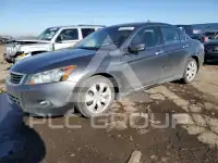 2009 Honda Accord фото